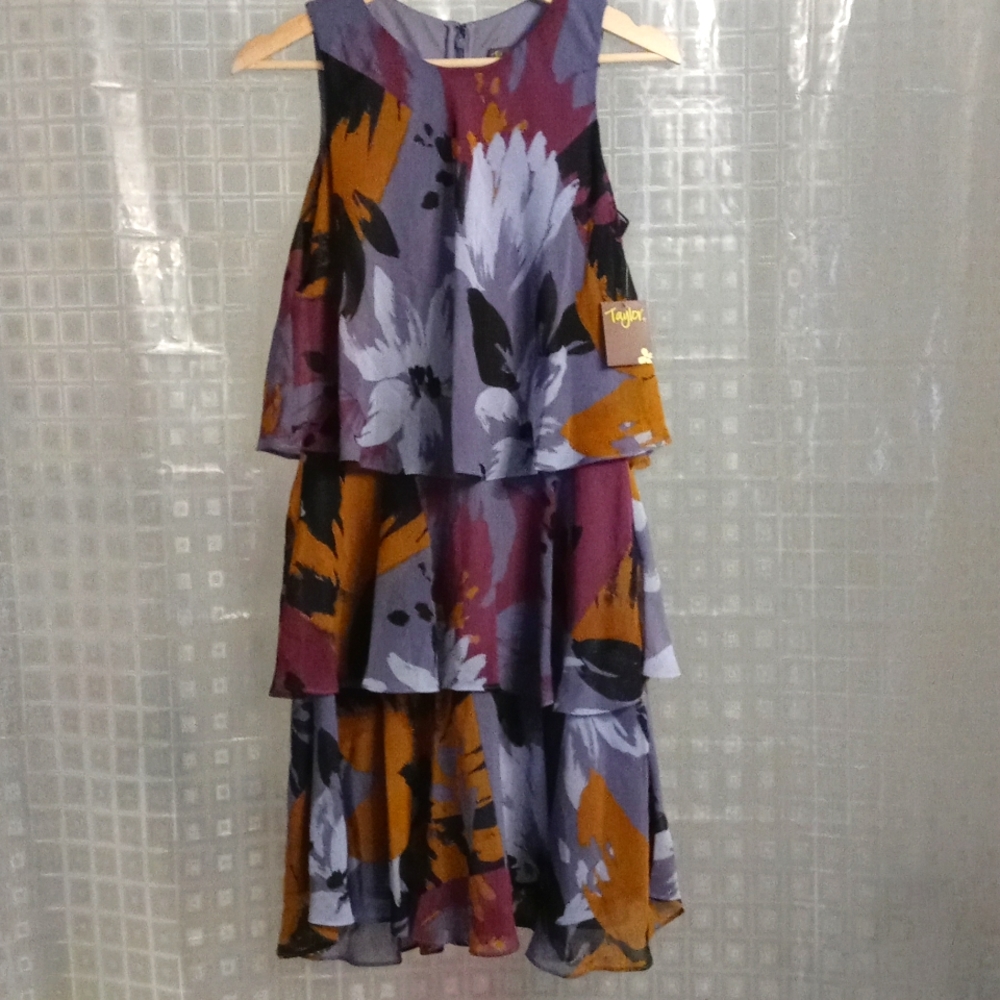 Taylor Sleeveless Layered Dress
